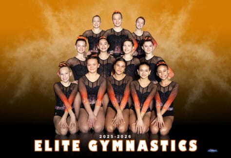 Xcel Platinum Sapphire Diamond