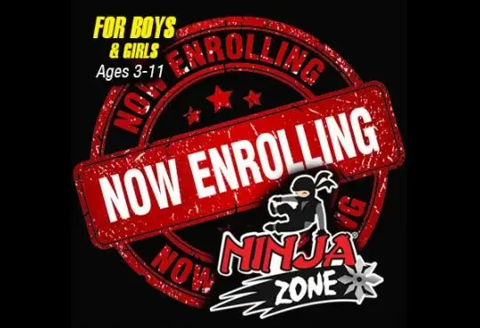 Ninja Zone Classes